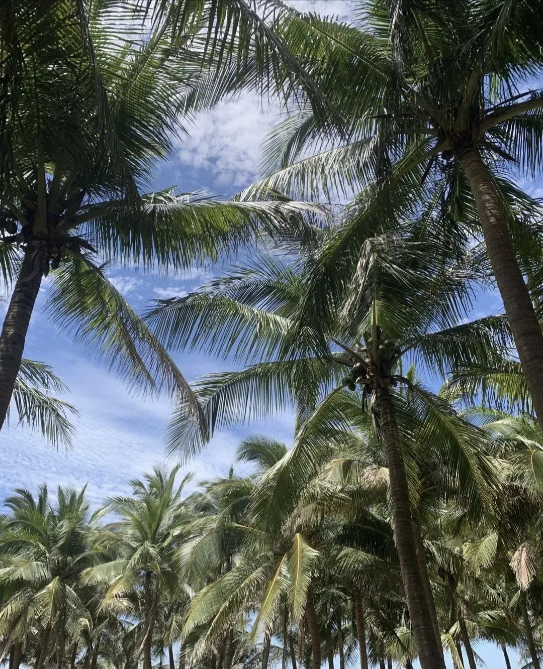 1650962125462091.jpg 微信图片_20220426163340.jpg