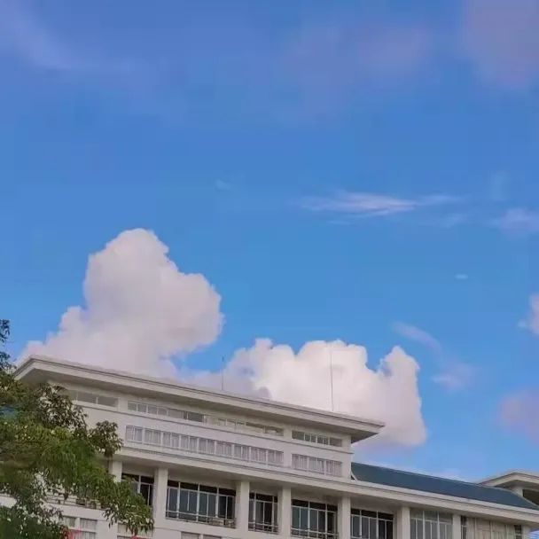 1650962310689094.jpg 微信图片_20220426163431.jpg