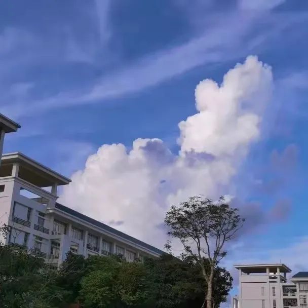 1650962296893088.jpg 微信图片_20220426163428.jpg