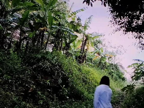 1650620758354564.png image.png