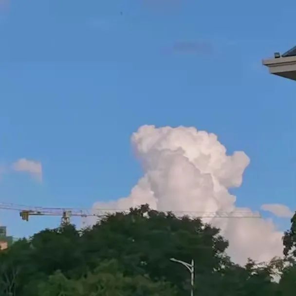 1650962279781302.jpg 微信图片_20220426163424.jpg